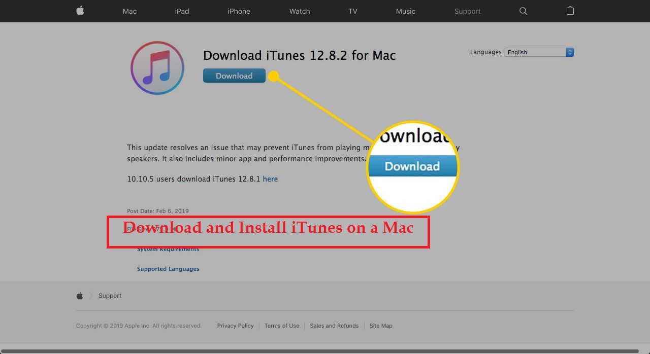 How to Download and Install iTunes on a Mac | A Complete Guide