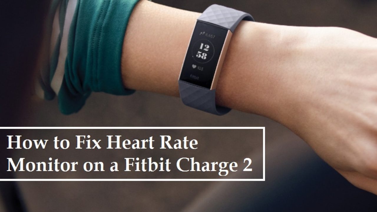 fitbit compatible heart rate monitor